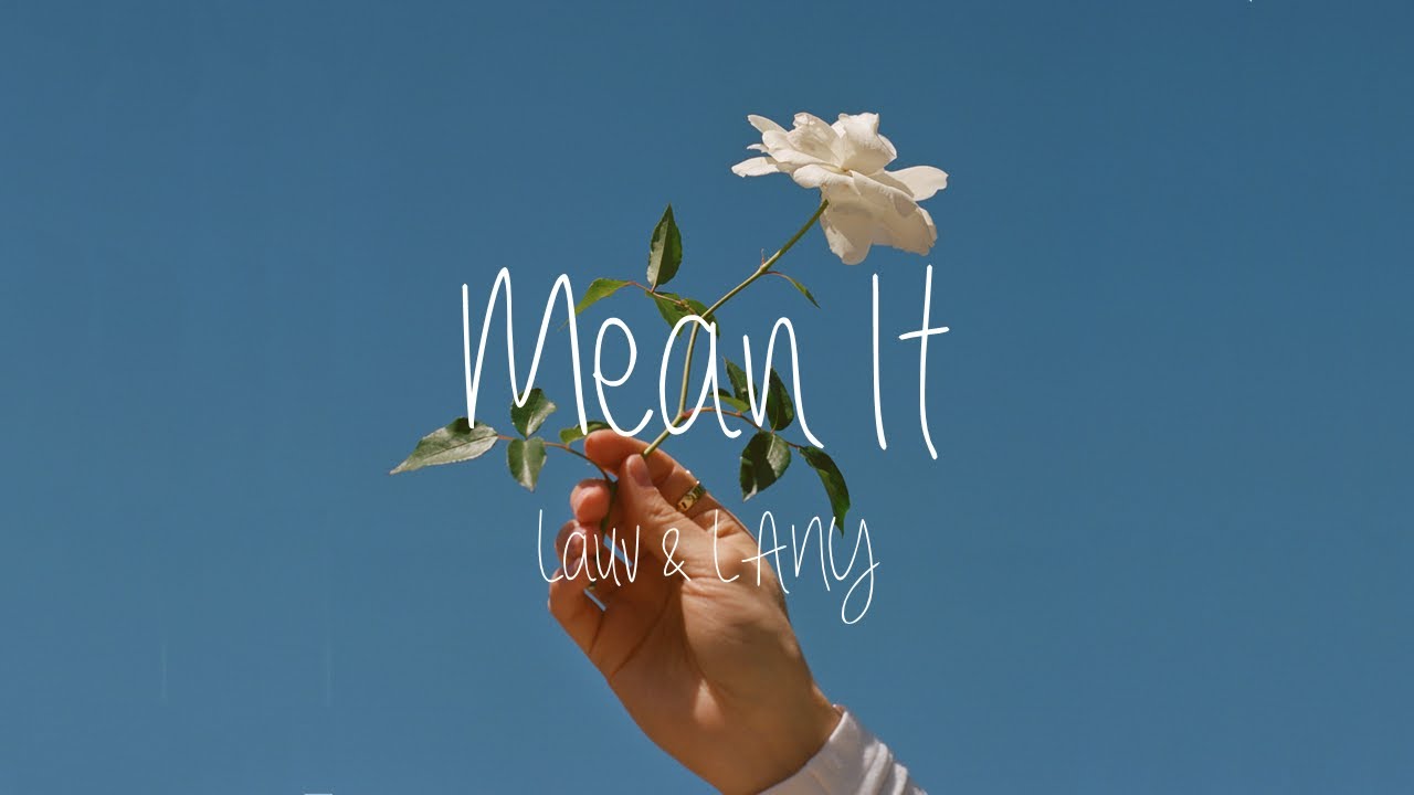 [가사해석] 어장 속의 물고기가 되고 싶진 않아, mean it - lauv & LANY / 라우브&레이니