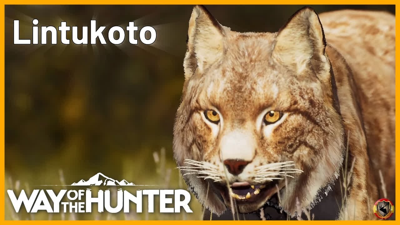 WAY OF THE HUNTER ⛰️ LINTUKOTO ¿QUÉ SORPRESA NOS DEPARARÁ?