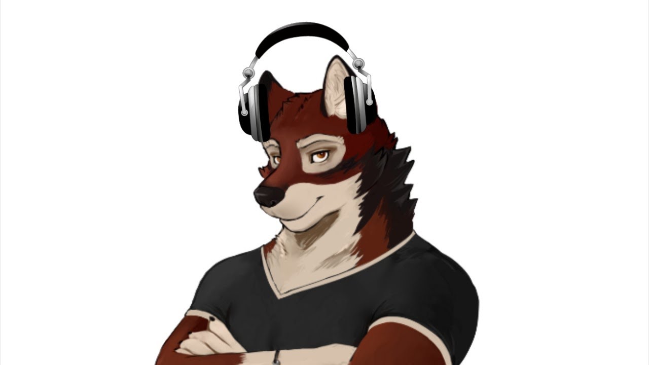 what i think the echo vn gang is listening to