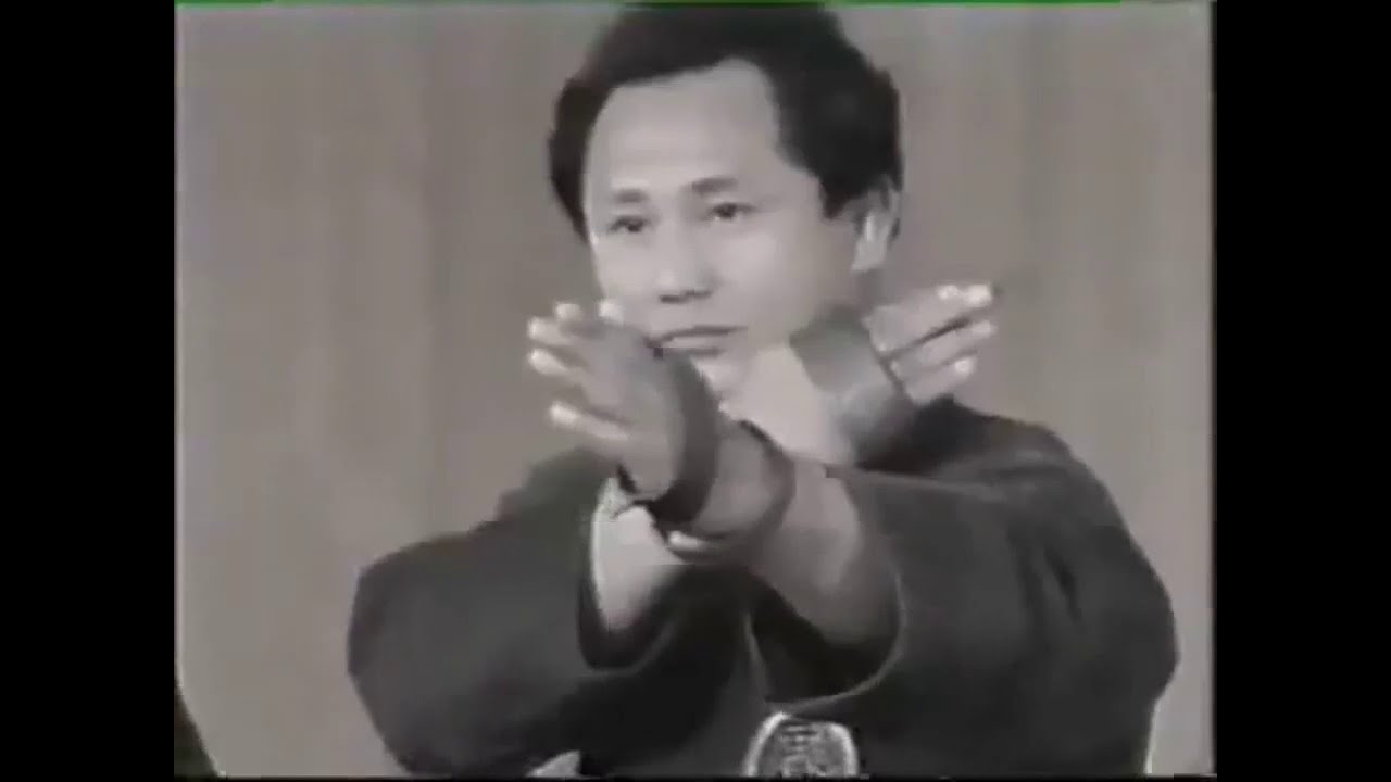 忍術 Togakure Ryu by Soke Masaaki Hatsumi! Do PLEASE enjoy!