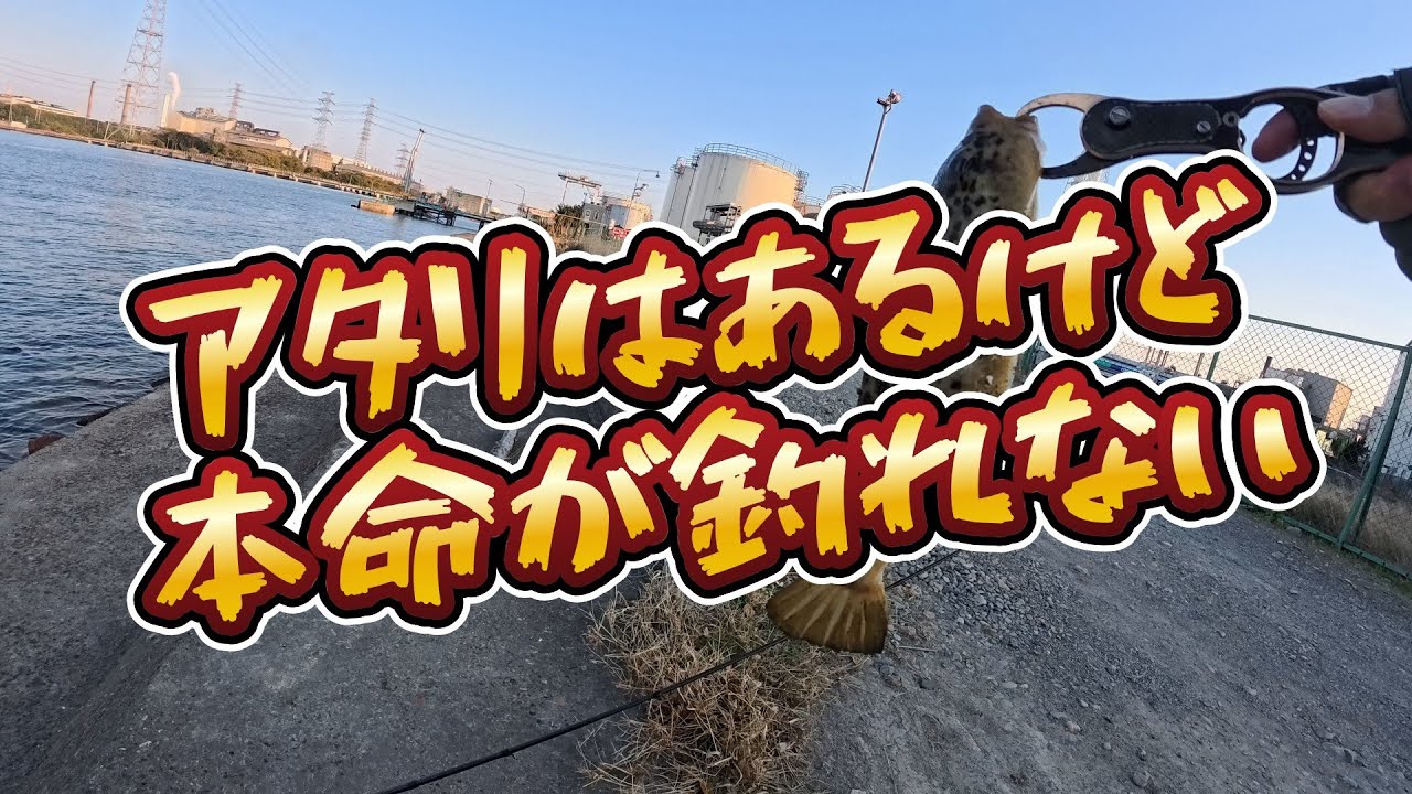 アタリはあるけど本命が釣れない