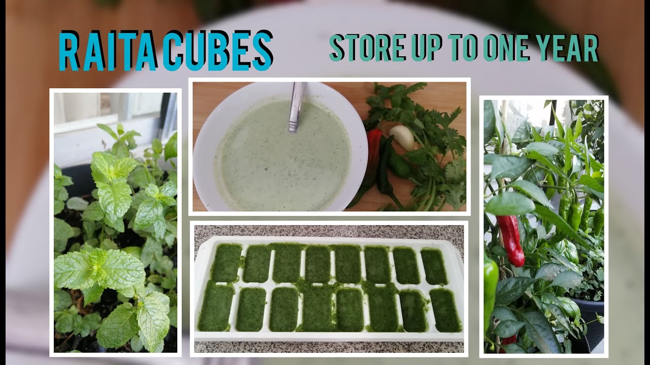 App In Raita Cubes Ko Aik Saal Tak Store Ker Saktey Hein | The Cooking Catalogue