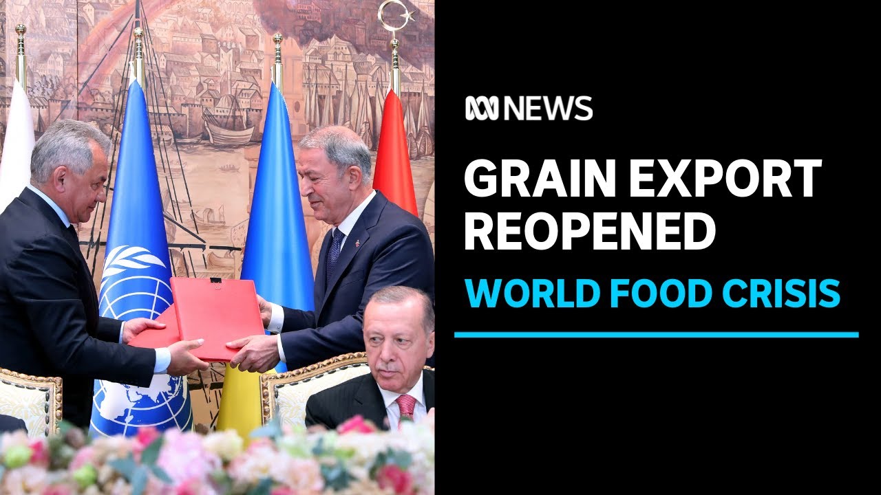 Ukraine and Russia agree to lift grain blockade and reopen ports | ABC News