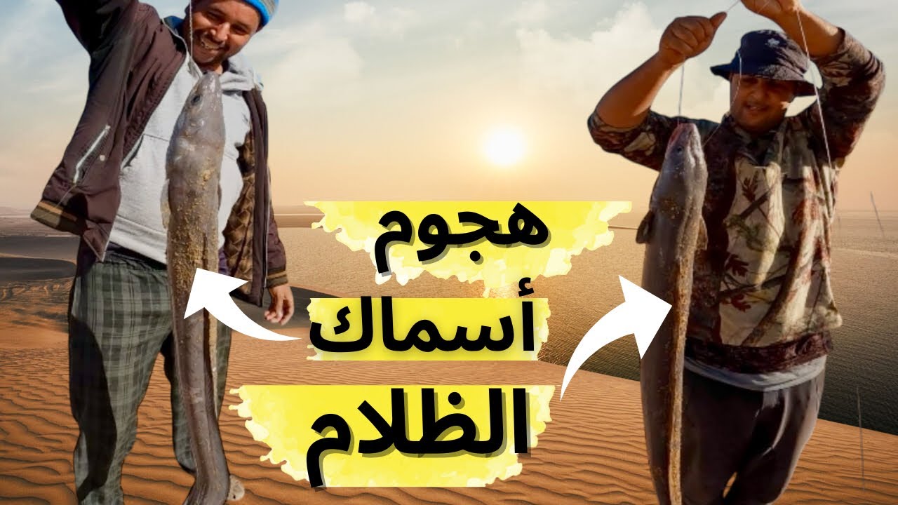 البحث عن وحوش الأسماك🔥في رحلة الصيد 🎣الثانية لهذا الموسم في علوات😱أخفنير