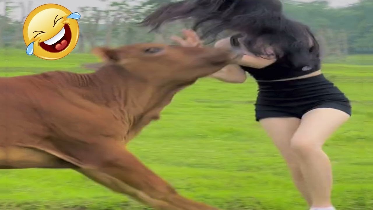 Best Funny Videos of the Month - Fails & Hilarious Moments 🤣🤣 TRY NOT TO LAUGH 2026😂 #8