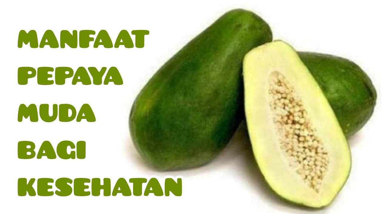 MANFAAT PEPAYA MUDA BAGI KESEHATAN || BENEFITS OF YOUNG PAPAYA FOR HEALTH