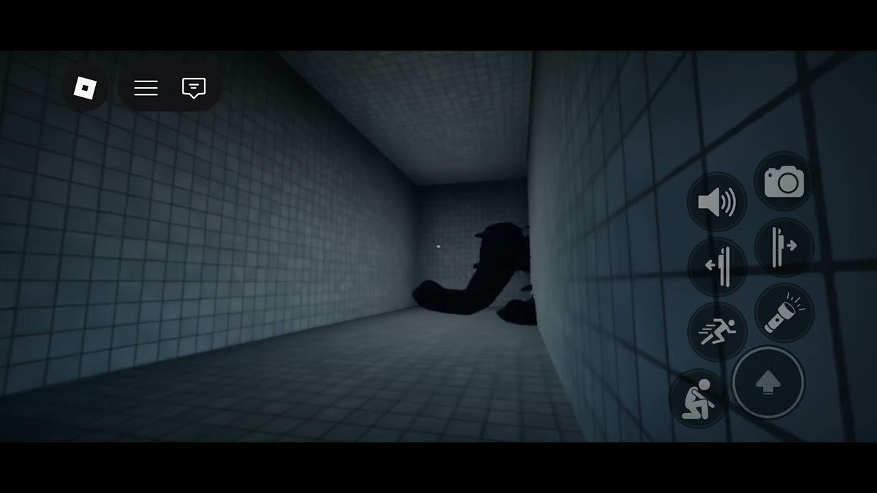 Primer video largo