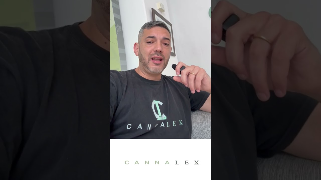C&oacute;mo fundar una ONG Cann&aacute;bica de Salud y Dispensar Legalmente | Gu&iacute;a REPROCANN 2025 actualizada
