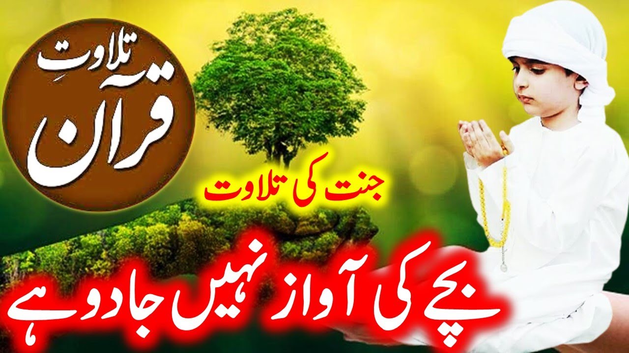 Quran Magical Voice you can't stop your tears- Jannat Ki Tilawat