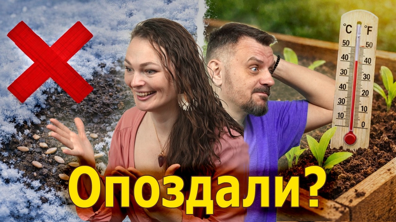 Вы ВСЮ жизнь сеяли не вовремя