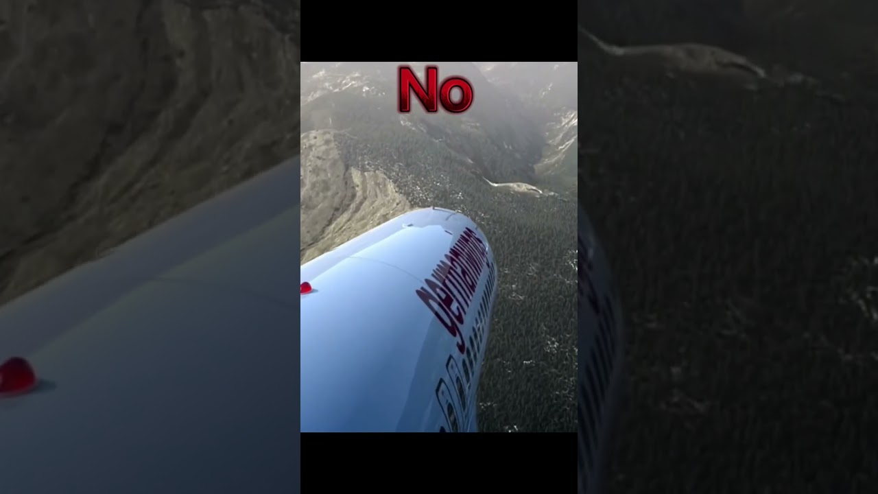 The German wings 9525 crash