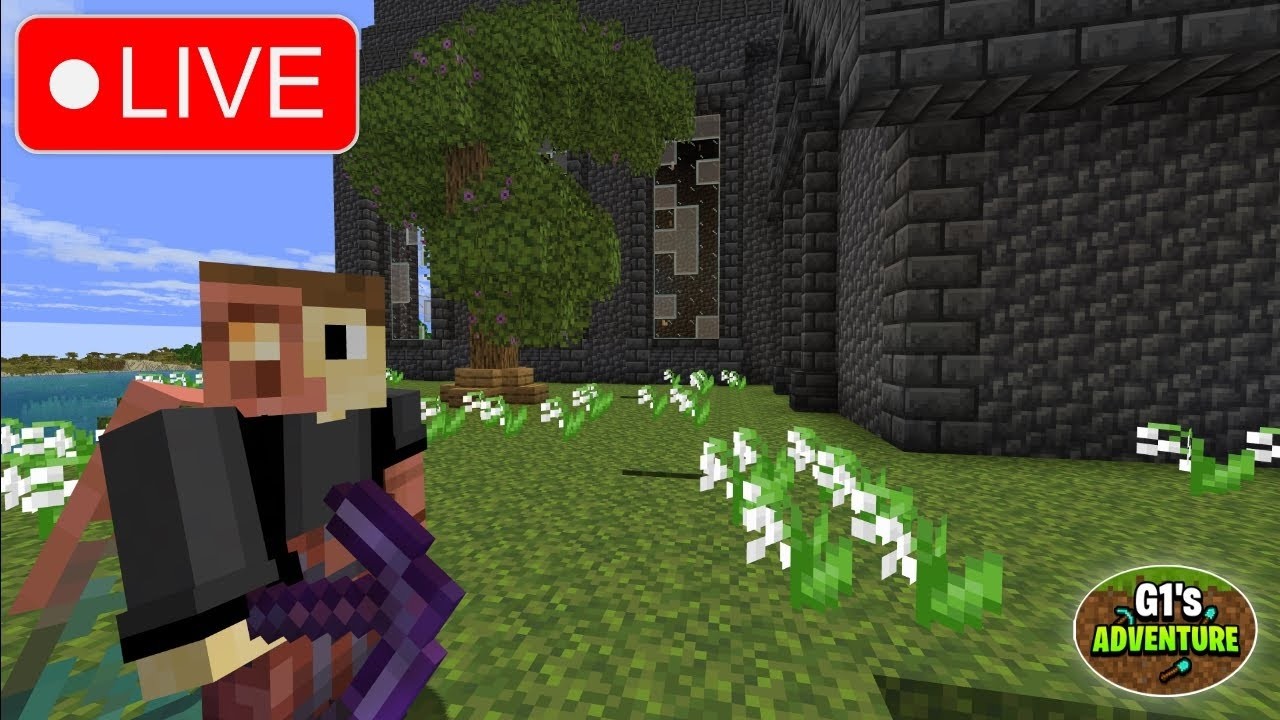 Forever Minecraft World Progress! - Minecraft Survival (LIVE)