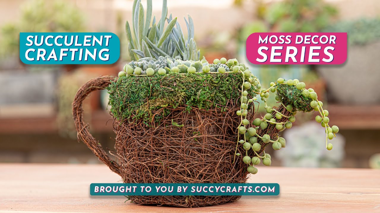 Succulent Craft Kit Guide: The Watering Can