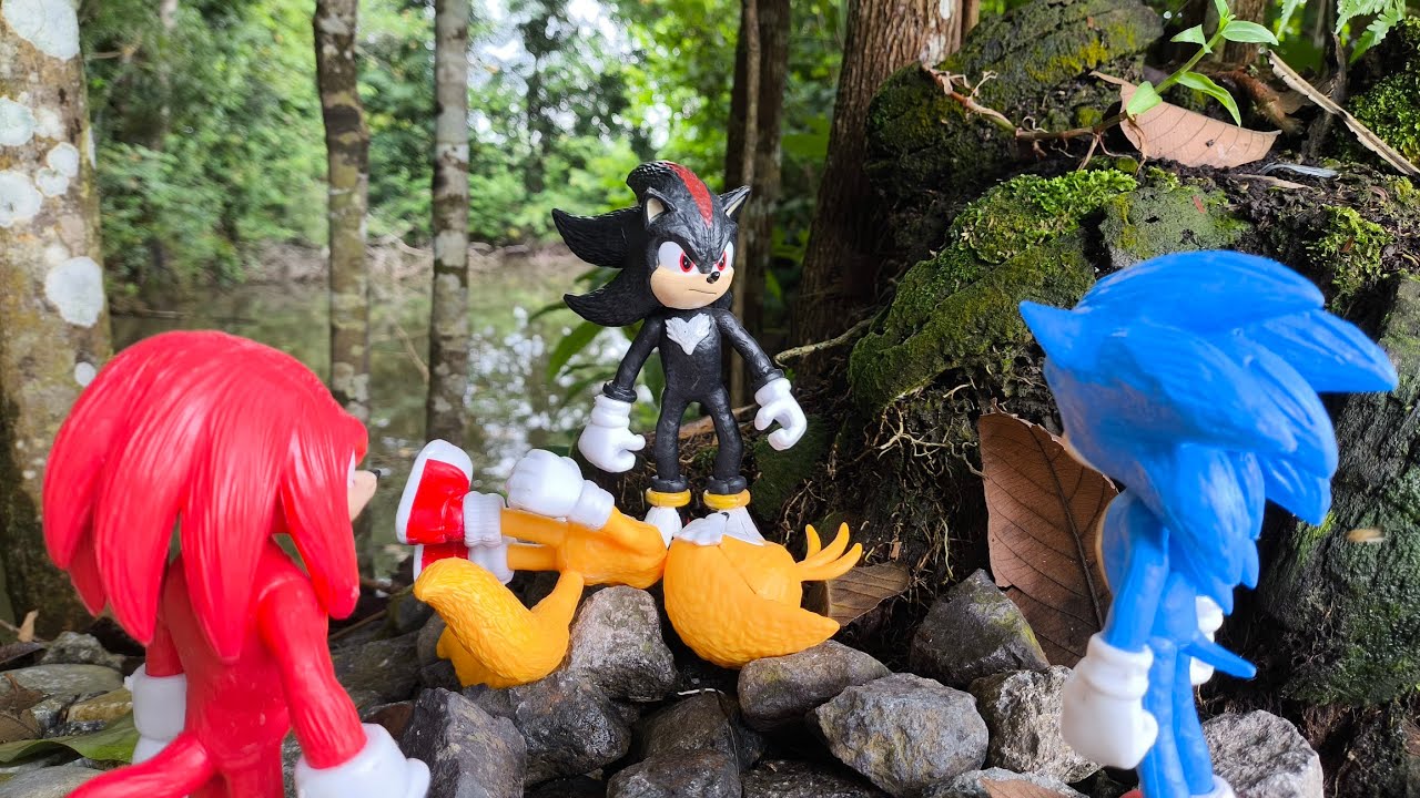 Sonic and Friend/Sonic Shadow/Were Hog/Knuckles/Metal Sonic/Sonic Hedgehog/Tails/Super Shadow/Eggman