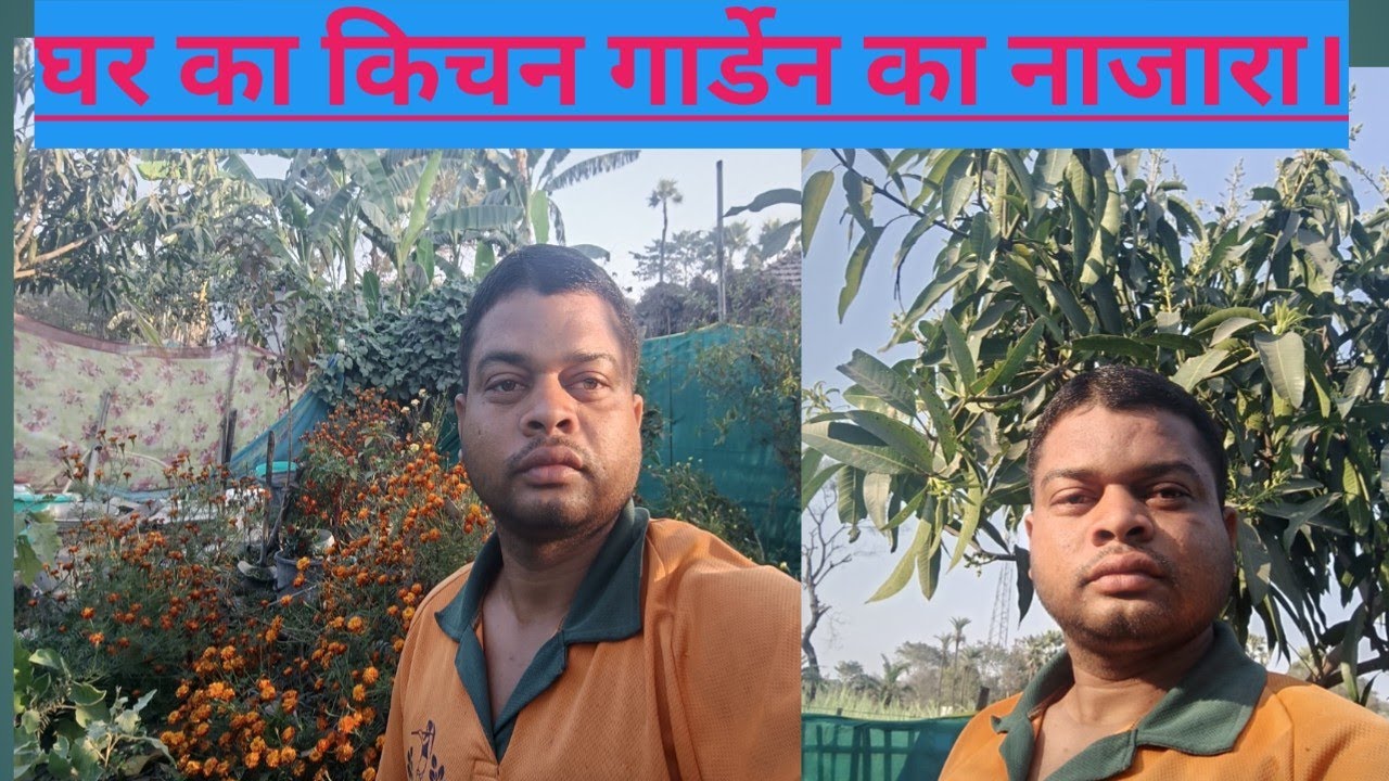 Ghar ka kitchen garden ka najara.