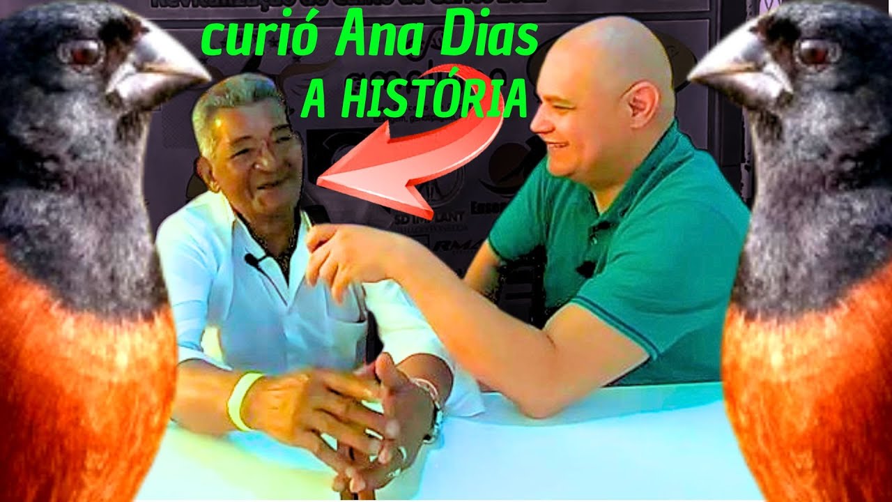 A VERDADE oculta sobre o curió Ana Dias REVELADA!