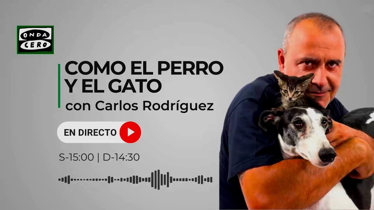 🔴EN DIRECTO | Como el Perro y el Gato 24/01/2026