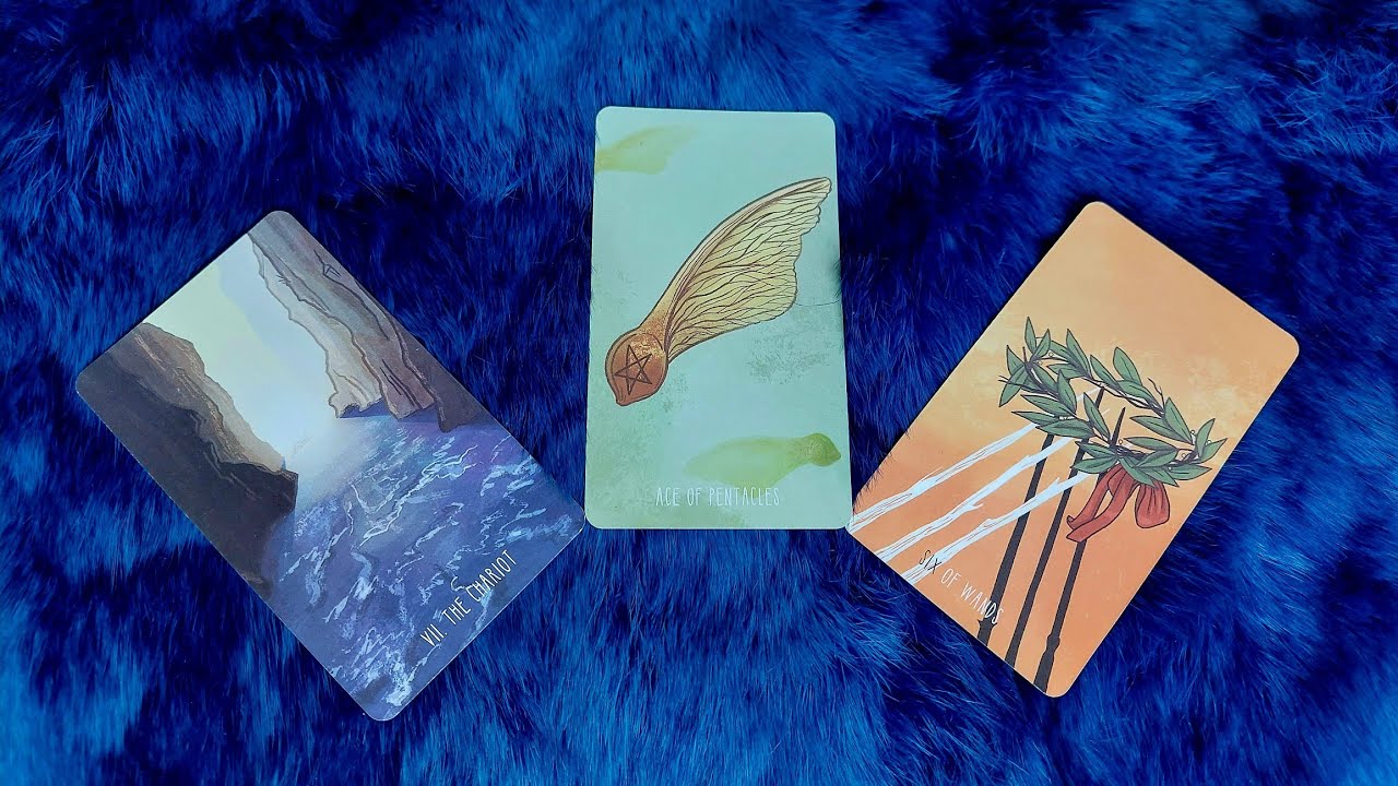 MIÊU TẢ "TRUE LOVE" CỦA BẠN? KHI NÀO BẠN GẶP HỌ?  @EvelynTarot