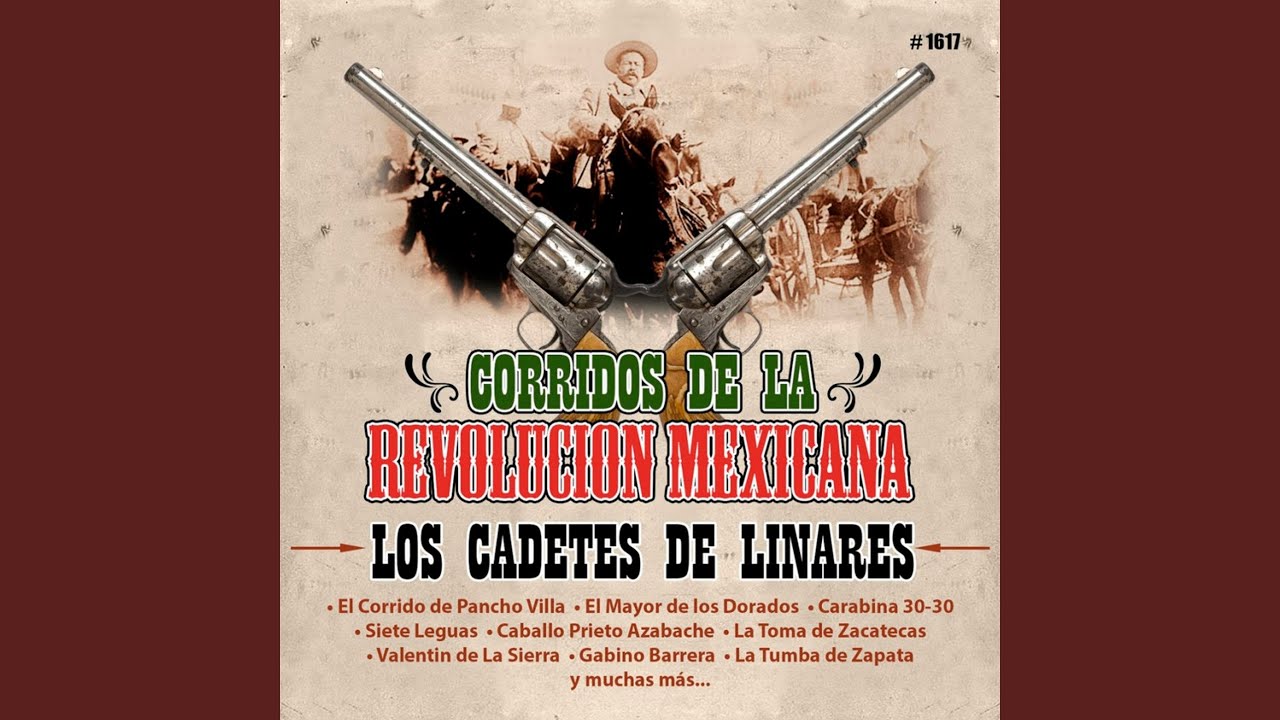 Carabina 30 30