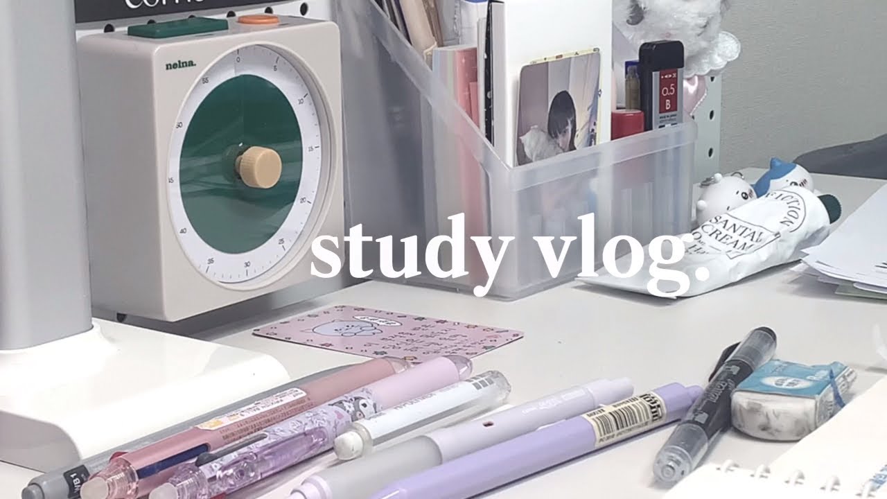 공시생 집공 5일 vlog..📓 | 행복하자 아프지망고 | 구글타이머⏲️