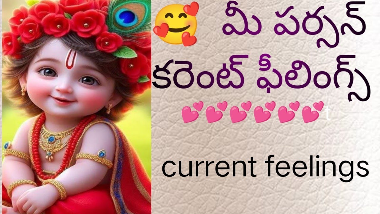 ♥️♥️  మీ పర్సన్ కరెంట్ ఫీలింగ్స్ 🥰♥️💕 #fortunetarot #tarotreading #person current feelings.