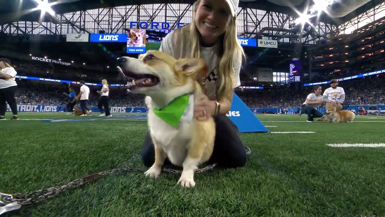 Detroit Lions 2024 Corgi Cup Halftime Race