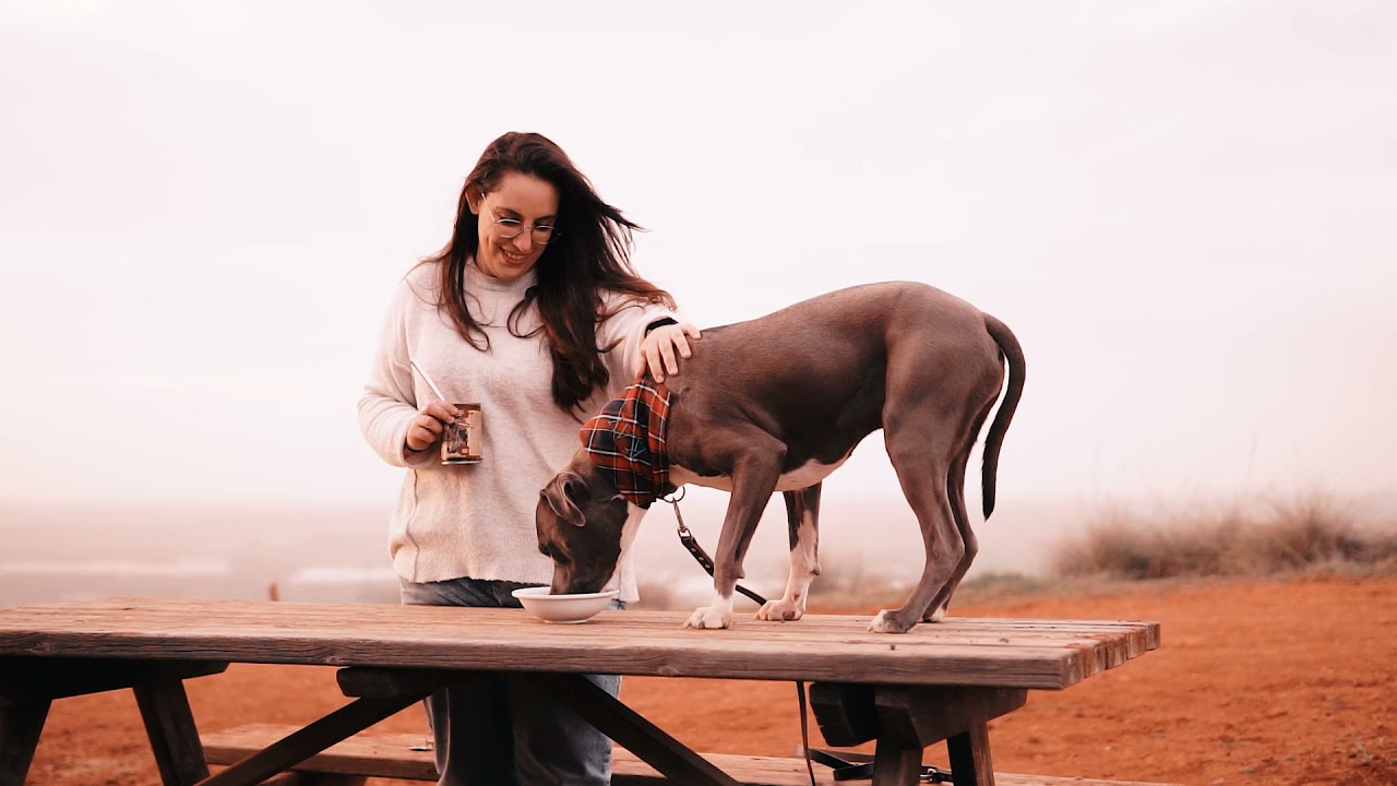 Natural Greatness, alimentaci&oacute;n h&uacute;meda Ultra premium para perros
