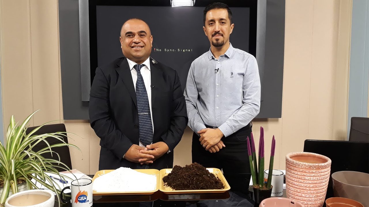 شێوازی زانستی بۆ گرنگی دان بە گوڵ و ئینجانەی ناو ماڵ
