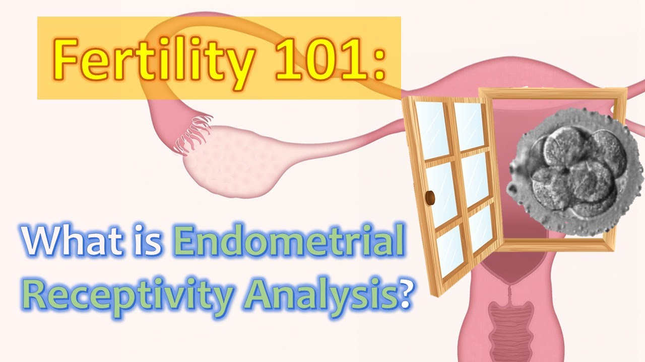 Fertility101: Endometrial Receptivity Analysis - What is it and How does it help with IVF?