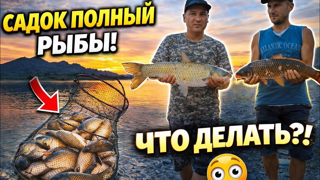 Рыбалка Амур Сазан Карась Вобла Лещ