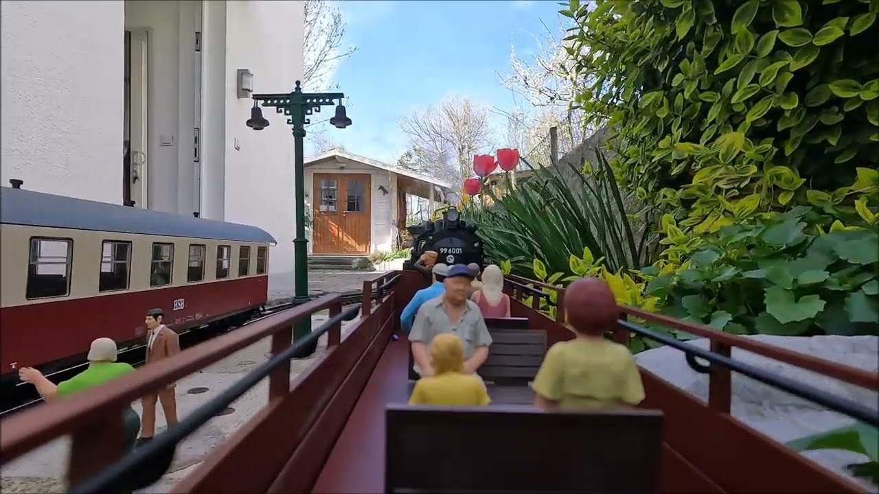 125 Jahre HSB  Jubiläumsfahrt mit 99 6001   #modellbahn #gartenbahn #spurg #lgb #gardenrailway