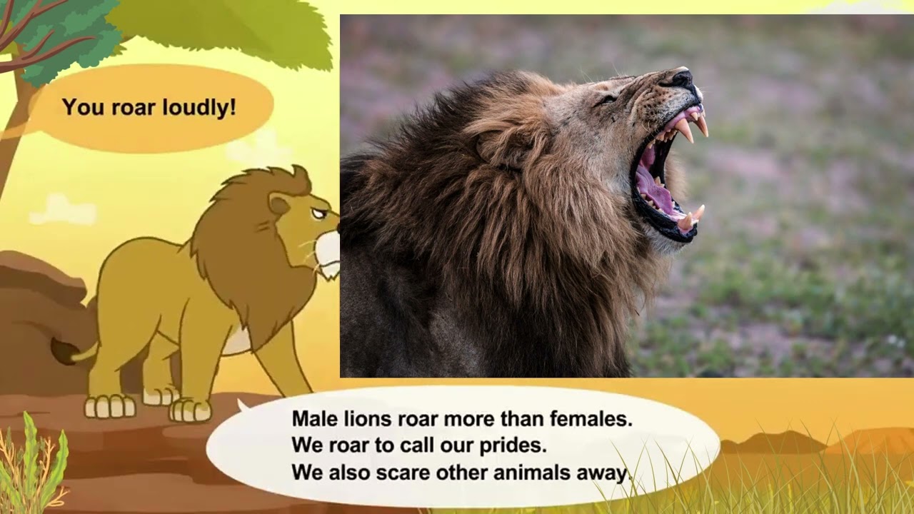 The Kings of the Savanna African Lion 🦁 🦁 🍖 #animals #lions #learnseaanimals