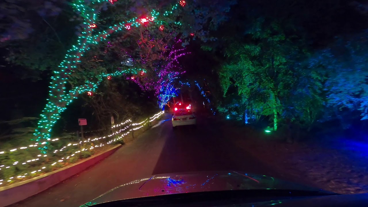 Zoolights 2020 - Phoenix Zoo