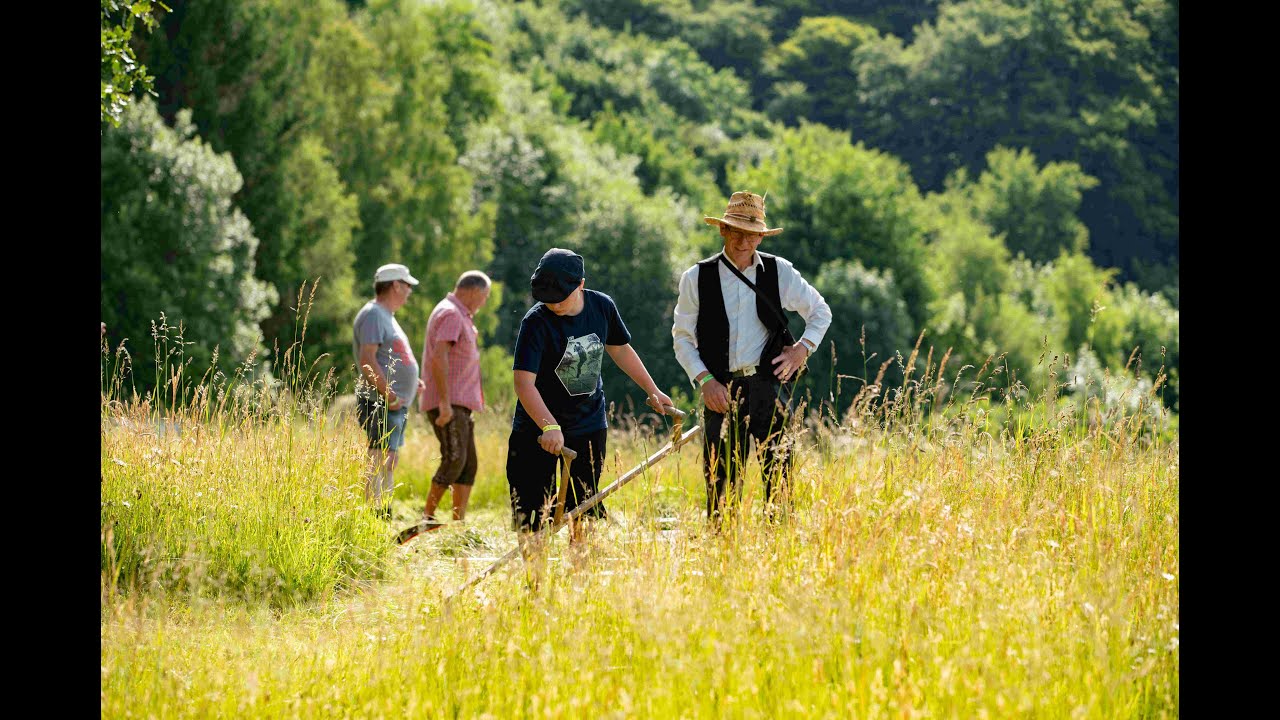 L&uuml;dmicher Wiesenfest 2025 Eventfilm