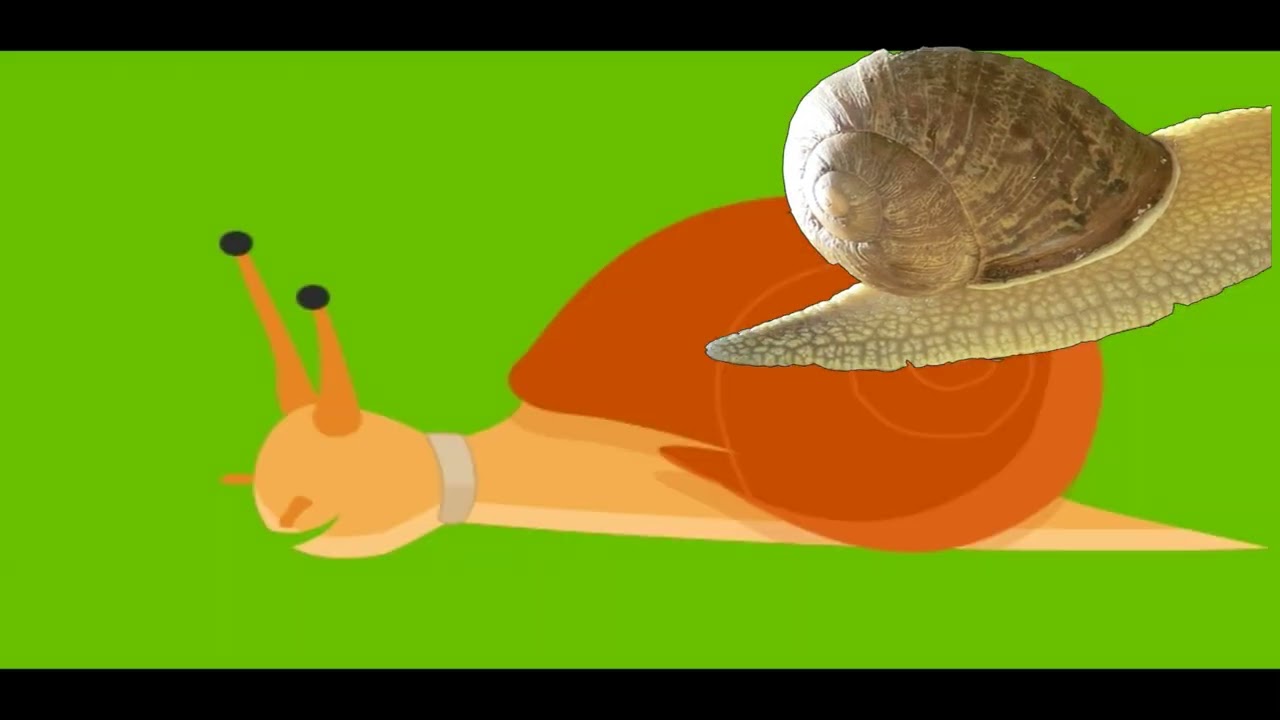 CARGOL TREU BANYA, per Pere i Alba