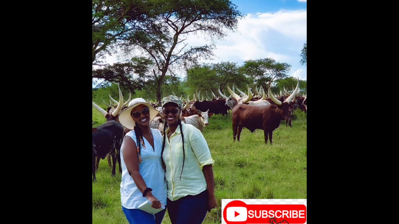 #natasha_museveni MEET THE BEAUTY IN NATASHA MUSEVENI- QUEEN OF UGANDA
