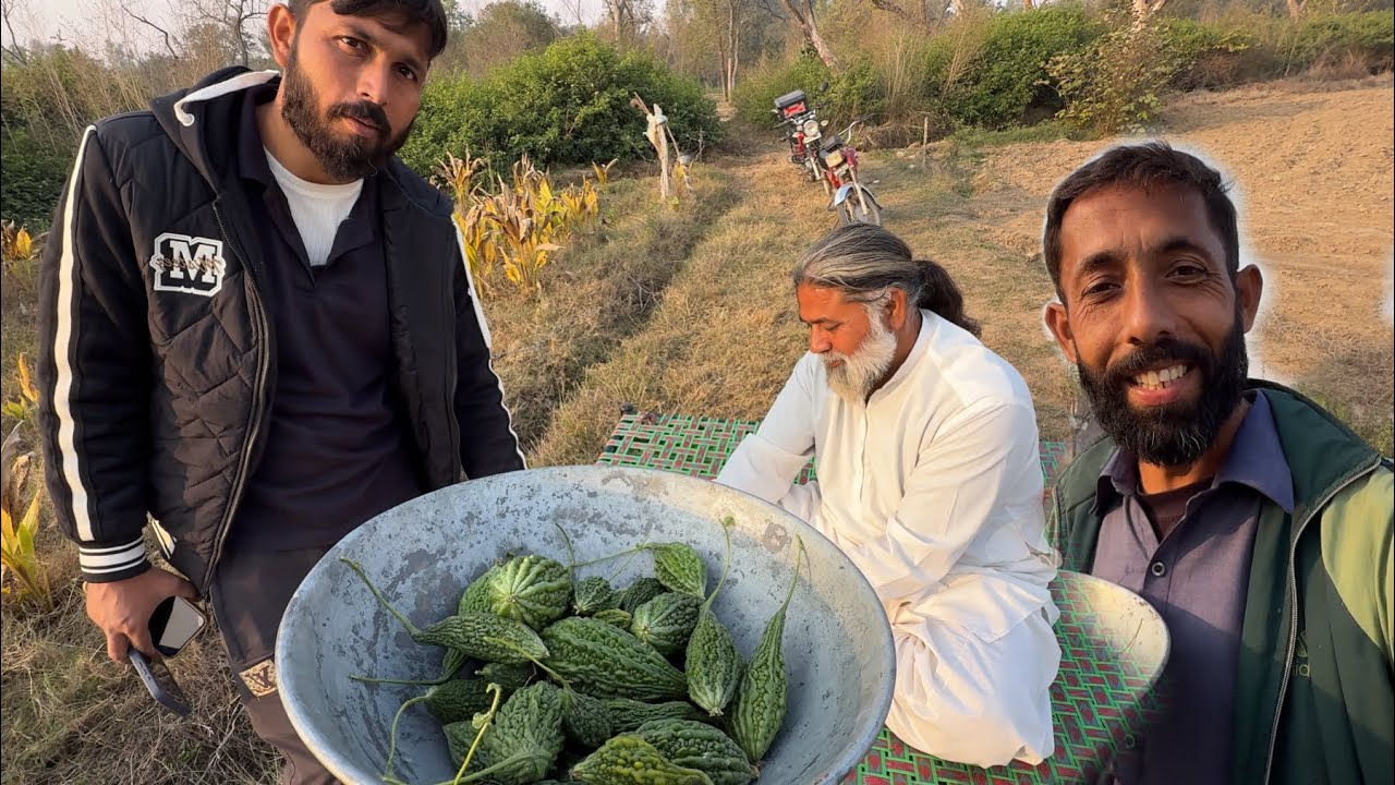 I Really Got Surprised By This  Vegitable❤️😍 | Azmat
