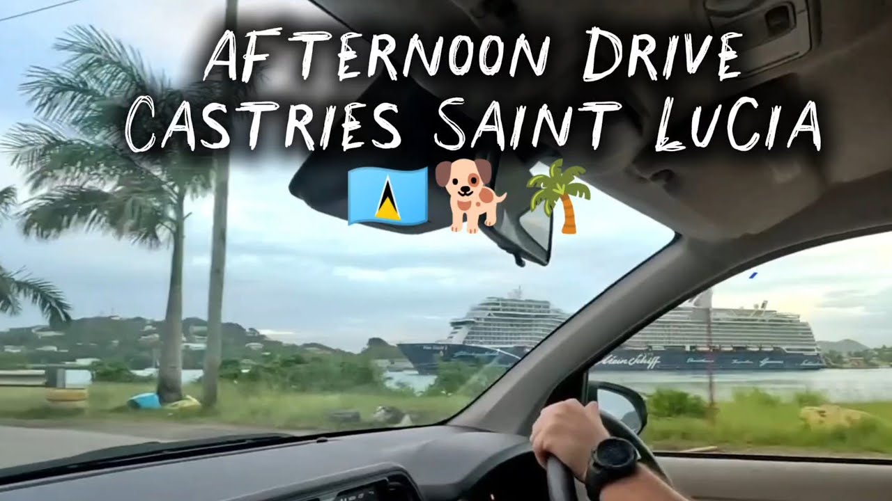 Afternoon Drive in Castries, Saint Lucia🇱🇨 | Cruise Port to Hilltop Airbnb | Friendly Dogs 🐕