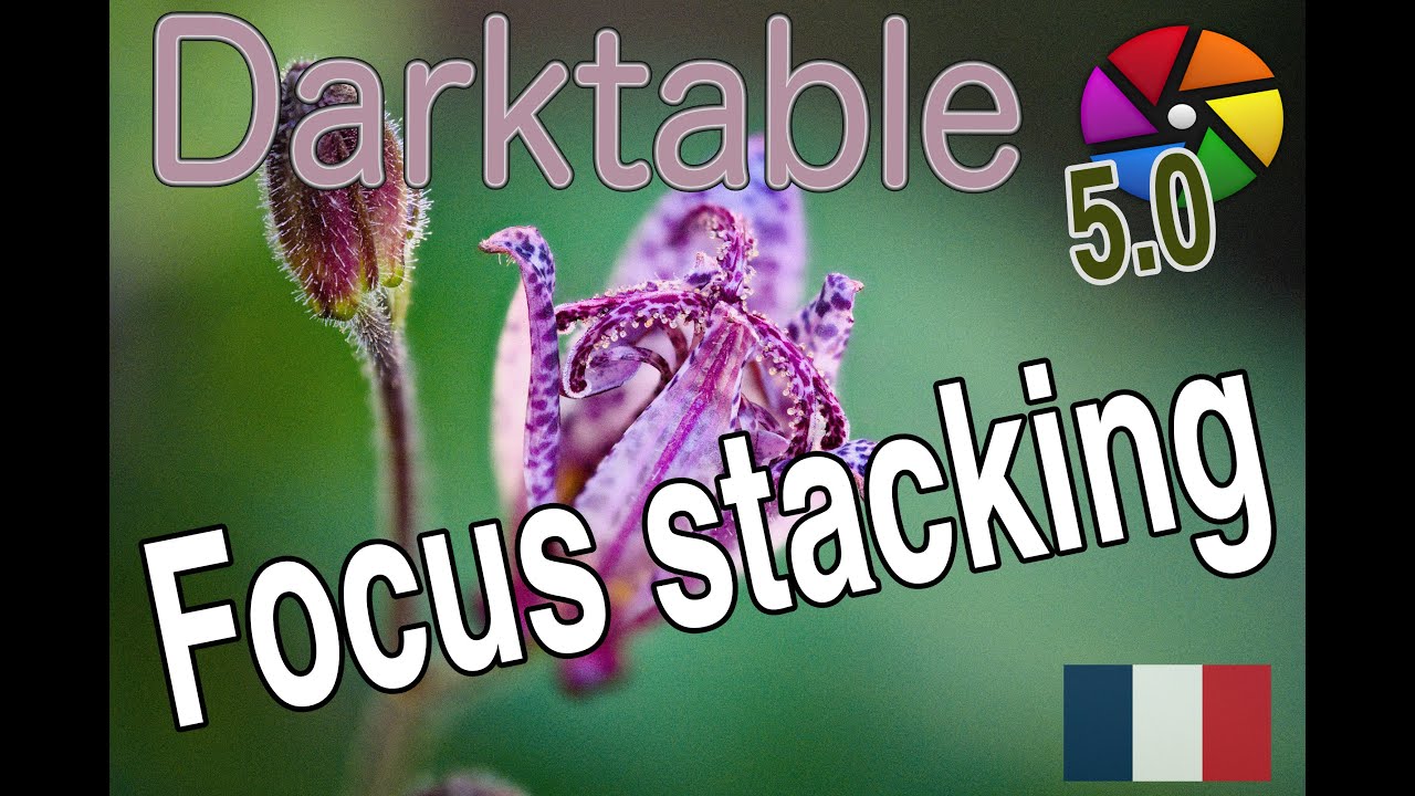 [FR] Focus Stacking avec darktable