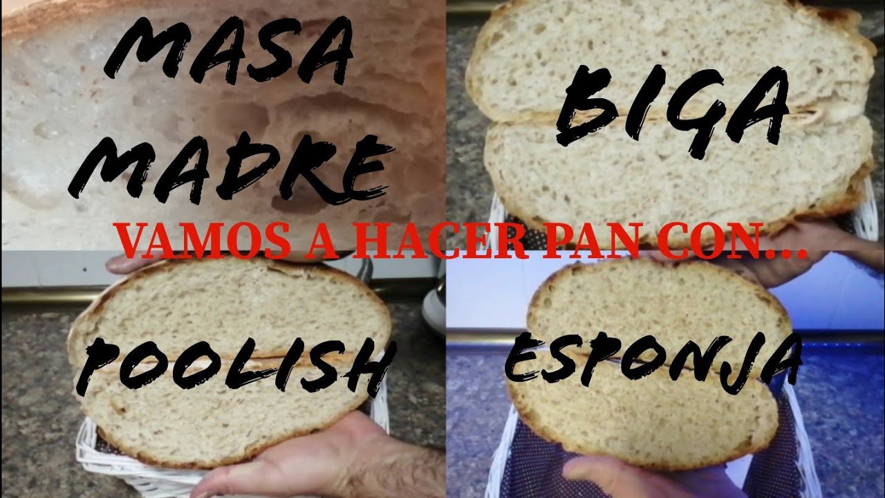 PAN con BIGA, POOLISH, ESPONJA Y MASA MADRE