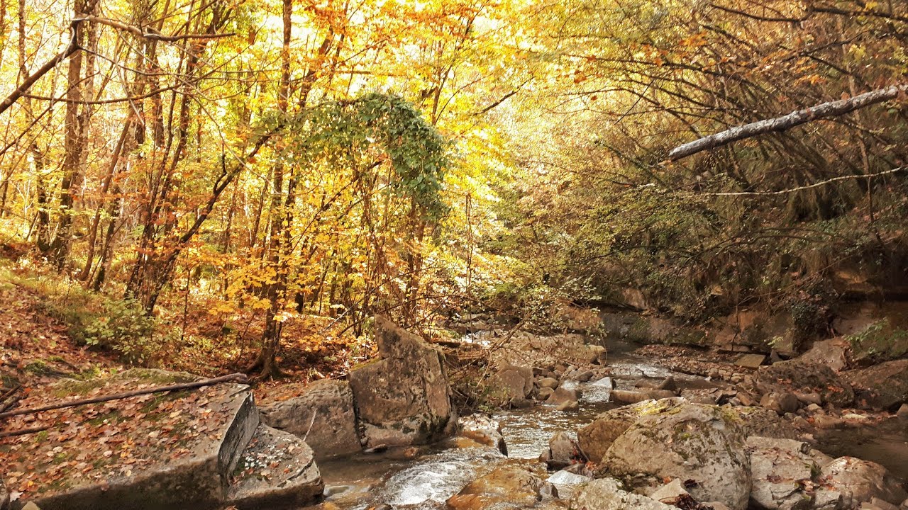 Tra foliage e cascate impossibili nel Parco Nazionale delle Foreste Casentinesi