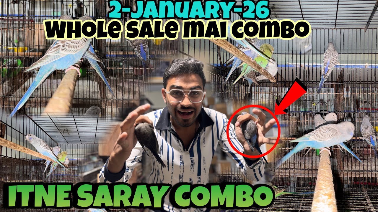 SARA COMBO HOGO + COMBO NEW STOCK AAGAYA SALE LAGA DI 2026 Armaan memon 03362770892 (A TO Z BIRDS)❤️