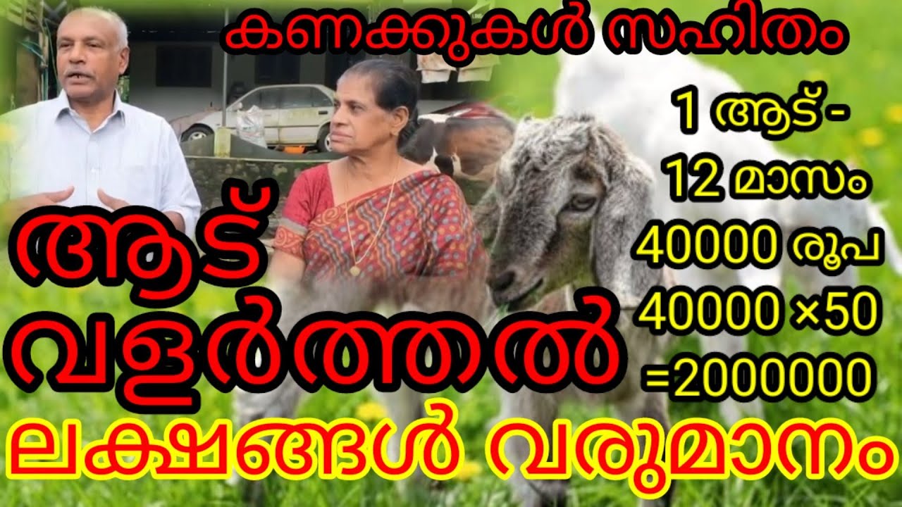 ആടുവളർത്തൽ / Goat farming /Malabari /Gemnapari  /African boer