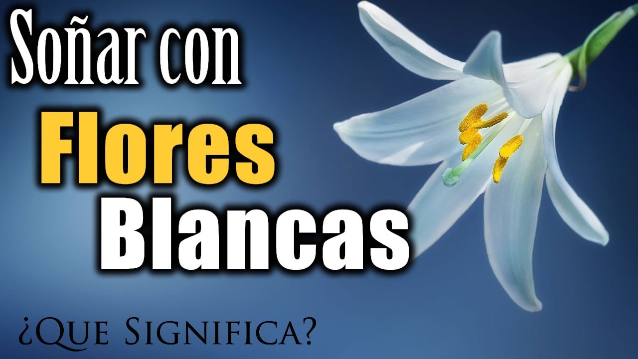SOÑAR con FLORES BLANCAS ✨ ¿Qué Significa? ¿Qué quiere decir este sueño?
