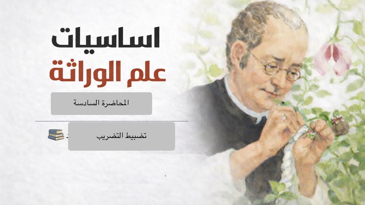 المحاضرة رقم(6)تظبيط التضريب