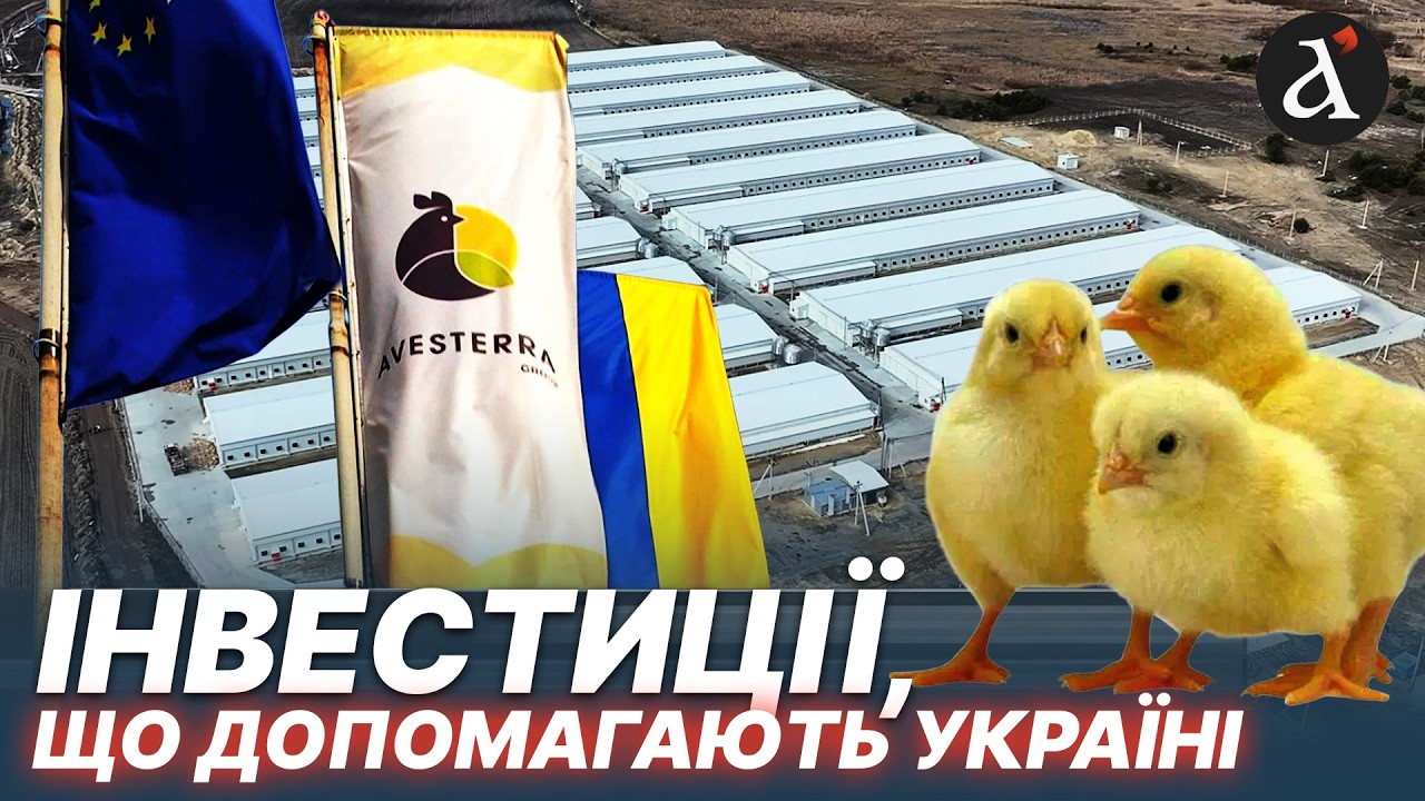Нові пташники на Волині від Avesterra Group: Дмитро Добкін планує інвестувати у птахівництво &euro;300млн