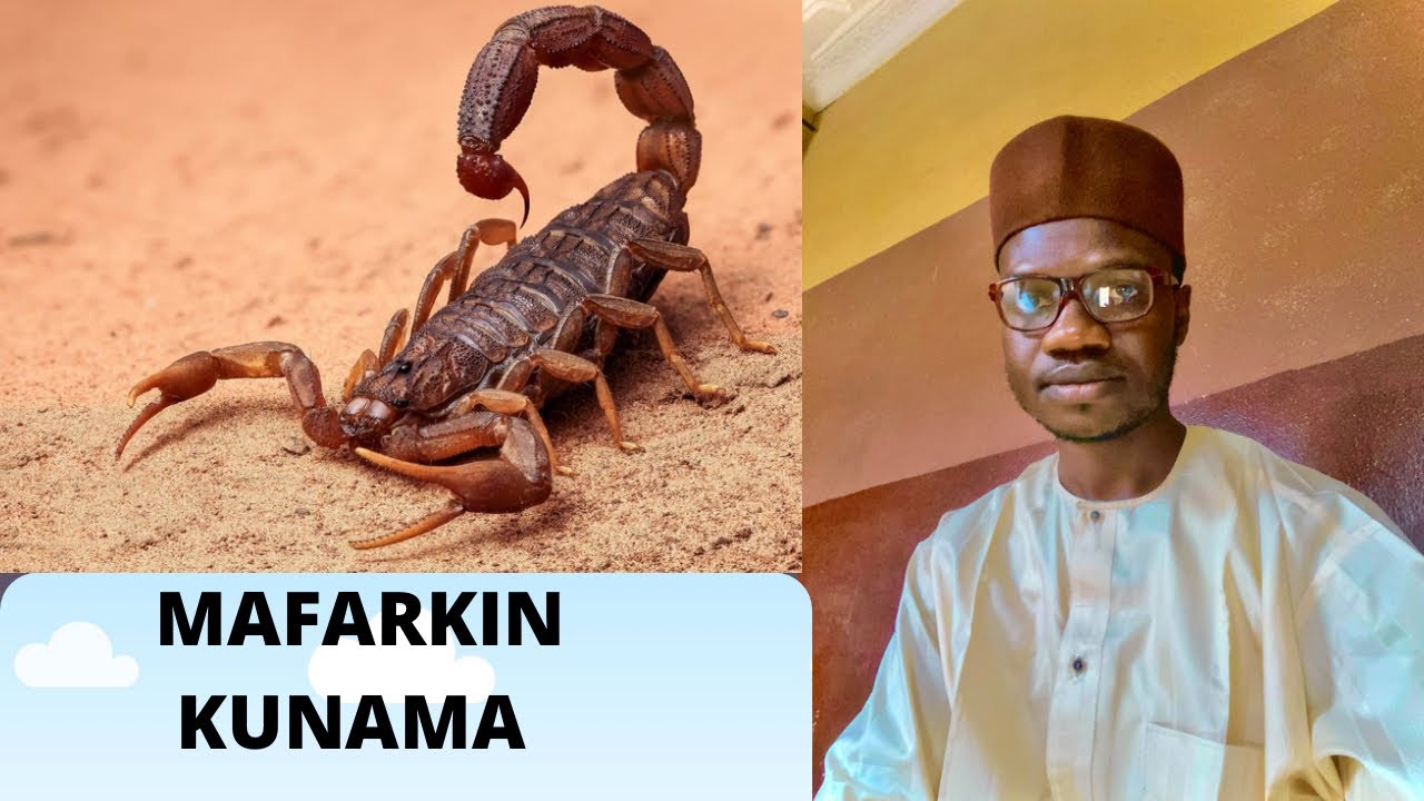 FASSARAR MAFARKIN KUNAMA