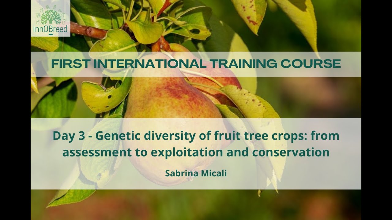 Genetic diversity of fruit tree crops: from assessment to exploitation and conservation