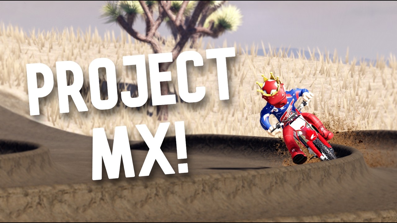 Honest Review on Project MX