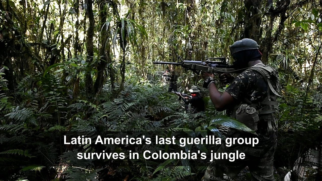 In the jungle with the ELN, the last Colombian guerilla | AFP